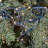 9' Pre-Lit Pine Tree
