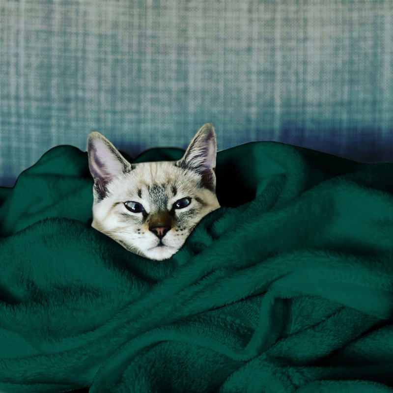 Carsonhill Reversible Mink Faux Fur Plush Fleece Throw/ Blanket, W150 x L200cm, Green Emerald