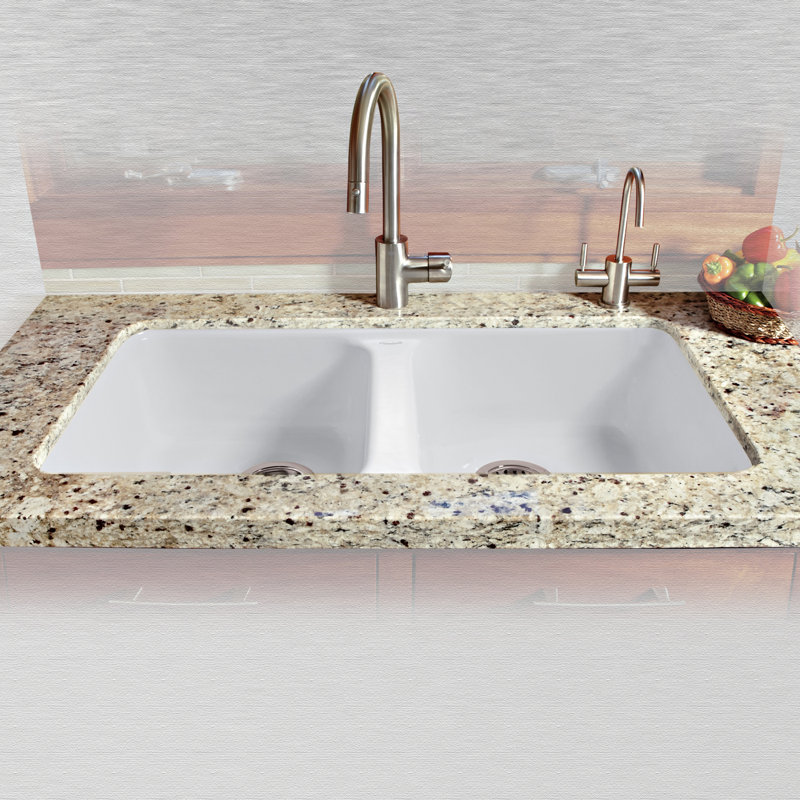 CECO Royal Palm 22'' W Double Bowl Cast Iron Undermount Kitchen Sink, White