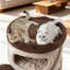Arbre à chat de 44 po en bois moderne pour chats d'intérieur, tour à chat à 4 niveaux avec 3 condos confortables, poteaux à griffer en sisal naturel, plateformes moelleuses, base stable, finition bois