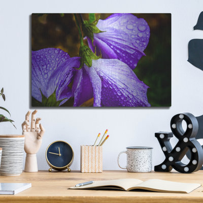 Latitude Run&Acirc; Purple Rain by Pamela Plummer Metal Wall Art