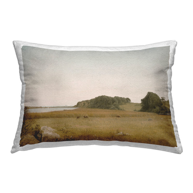 Outdoor Throw Pillow