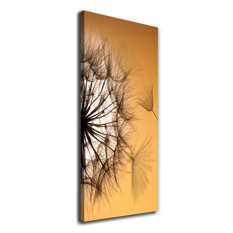 Dandelion - Wrapped Canvas Print
