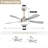 Damecia 52'' Modern Ceiling Fan with LED Light and Remote Control-123098393