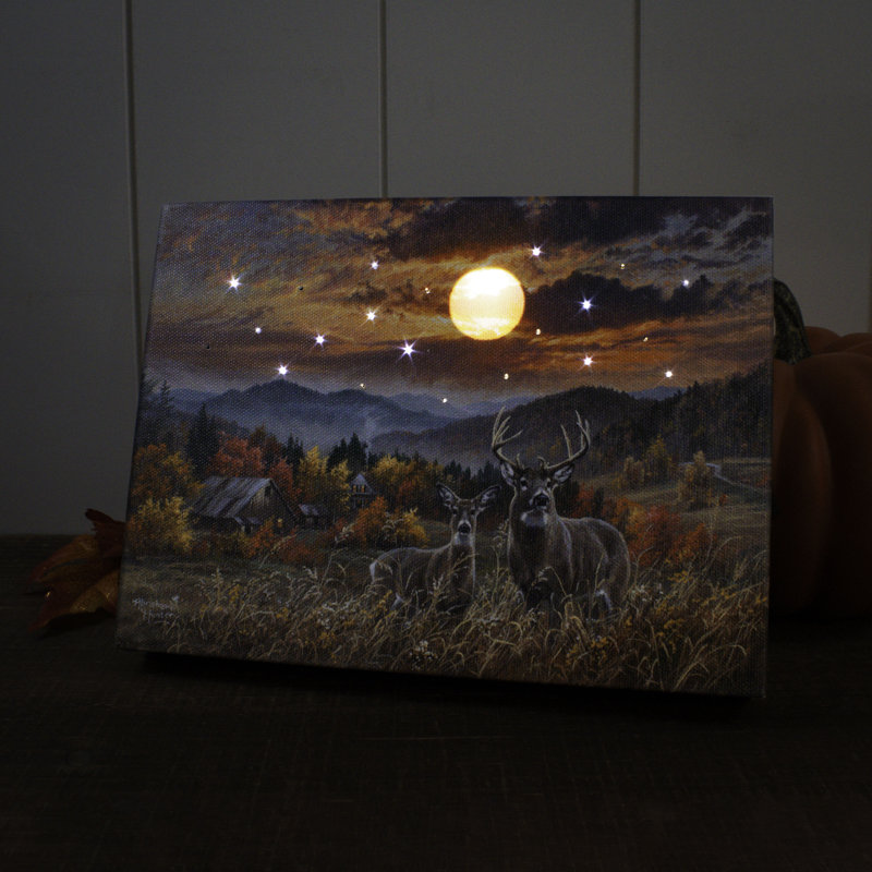 Latine - mini toile de fond de chevalet 8 x 6 lumières avec lumière de novembre