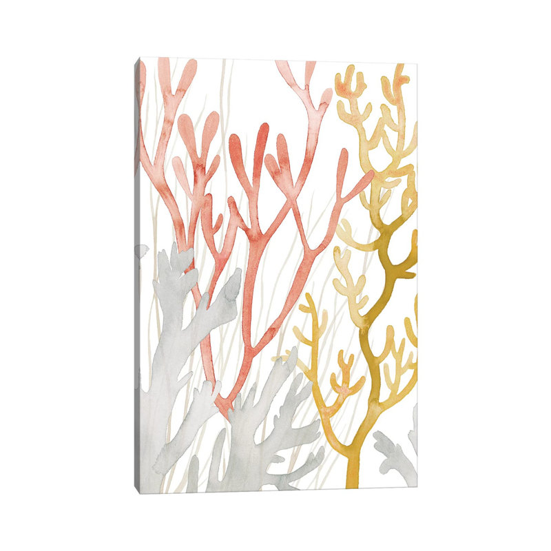 Desert Coral I by Grace Popp - Wrapped Canvas Gallery-Wrapped Canvas Giclée, 30.48cm H x 20.32cm W
