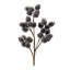 Beaded Berry-1412943475-1412943478