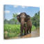 No Frame Print on Canvas-1626684144