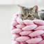 Tapis de lit pour animal de compagnie-2139225962-2130757160