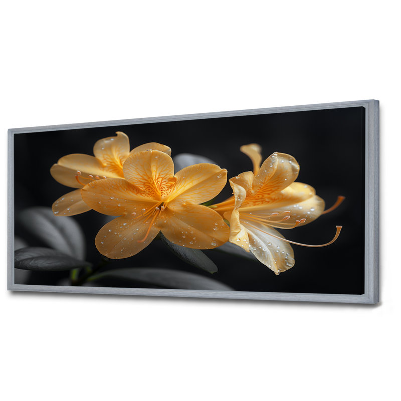 Rhododendron jaune et noir «Midnight Bloom I» - impression d'art mural rhododendron, H 28 po x l 60 po x P 1,5 po