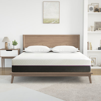 Matelas en mousse viscoélastique gélifiée mi-ferme Alwyn Home Winchendon