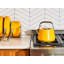 Caraway Stovetop Whistling Tea Kettle-1795050973