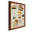 Mushroom Species IV, peinture sur toile encadrée-88440595-88440597