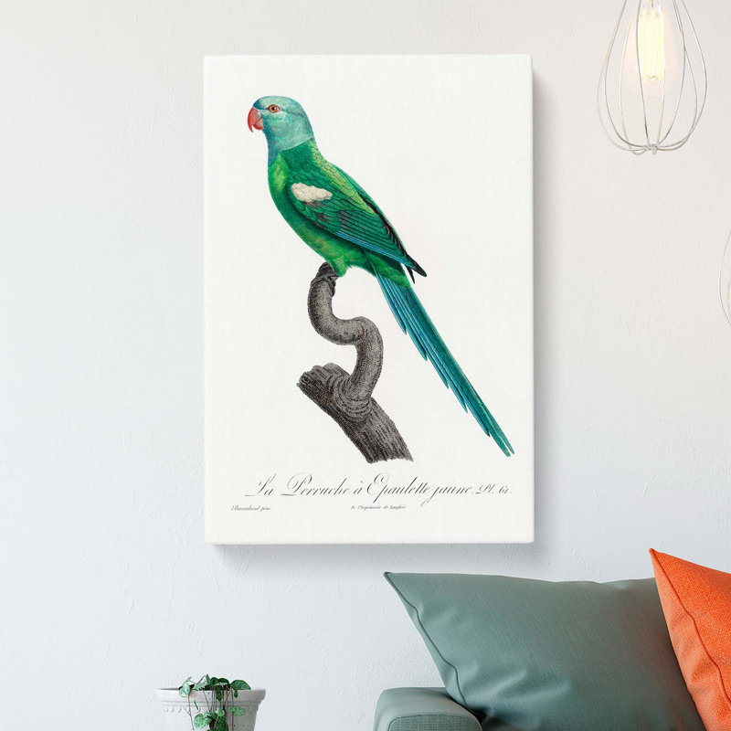 Yellow-Shouldered Amazon Macaw Parrot by F. Levaillant - Wrapped Canvas, 60cm H x 40cm W x 3cm D