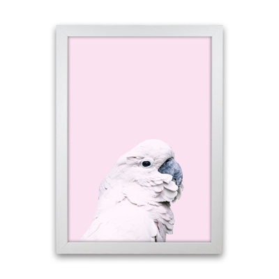 Pink Cockatoo 1 Piece Wall Art