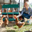 Egg Boxes & Baskets-863886161-863886163