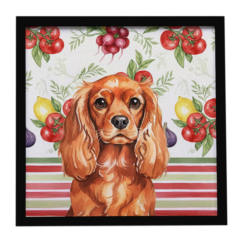 «Ruby English Toy Spaniel Légumes», reproduction d'art encadrée, Rubis