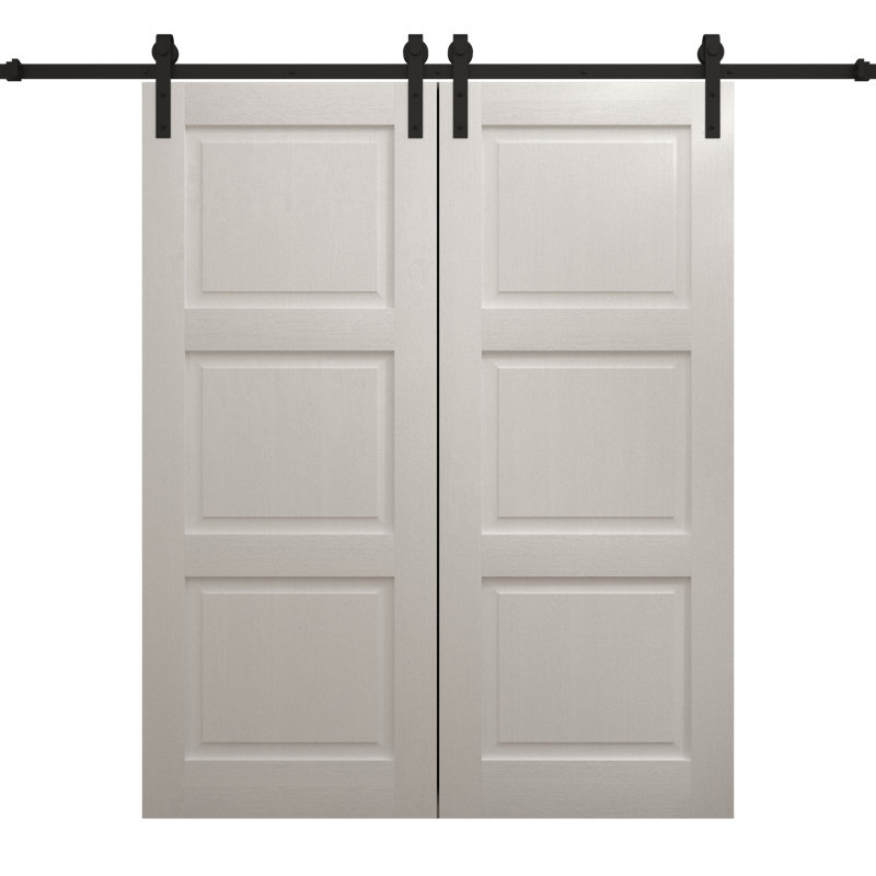 Porte de grange double moderne | Ego 5010 | Ensemble de rail | Portes intérieures solides, Chêne blanc peint, 60 po x 80 po