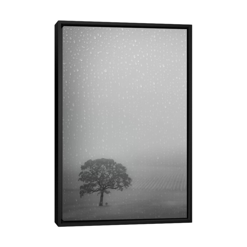 «Lone Oak in the Rain», impression sur toile, H 26 po x l 18 po x P 1,5 po, Toile avec cadre noir