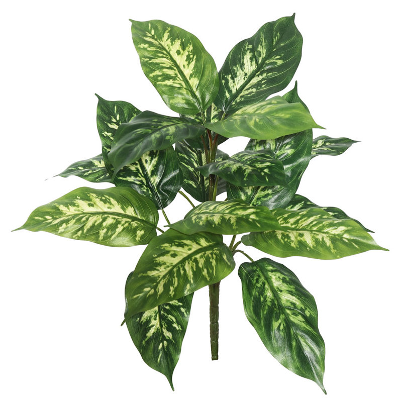 Plante artificielle de 22 po Dieffenbachia