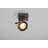Spotlight-50488701