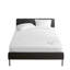 1 PCS Heated Mattress Pad White-44727059