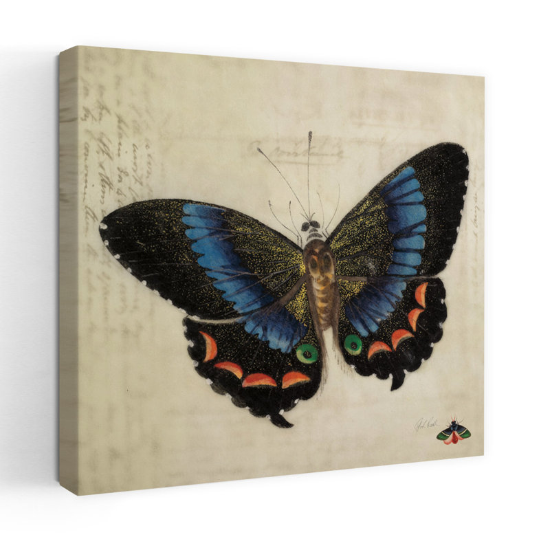 Art rétro, papillon bleu rétro, H 18 po x l 18 po