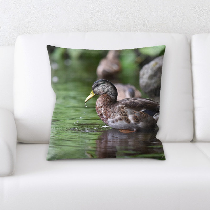 Duck Square Pillow Cover & Insert