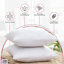 Insert de coussin extérieur Hartsburg-142779833