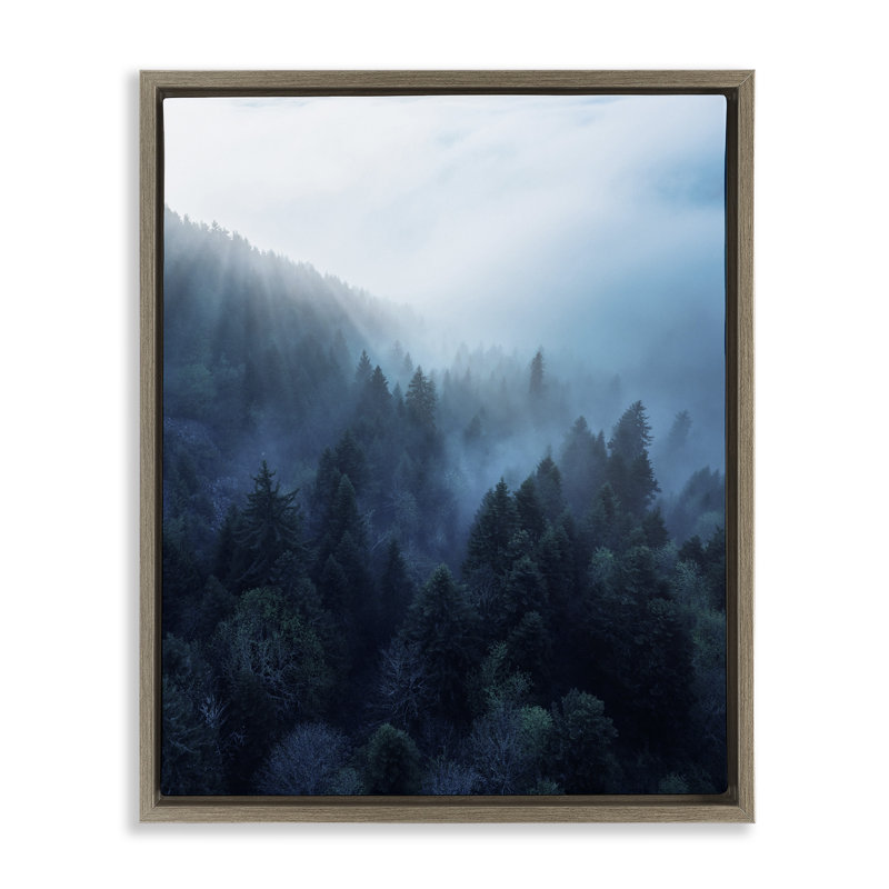 Art mural sur toile "Daylight over Pine Forest" par unsplash, H 21 po x l 17 po, Cadre flottant orme Montalcino