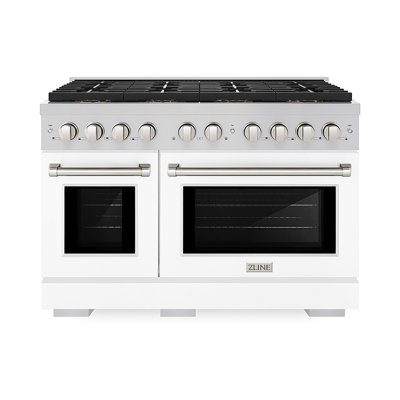 ZLINE 48 in. Paramount Dual Fuel Range with 8 Burner DuoPro Cooktop & Dual Ovens in Stainless Steel
