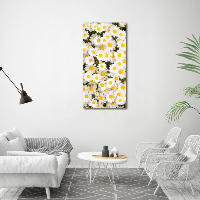 Daisy Flowers - Wrapped Canvas Print