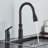 AlenArtWater Pull Out Kitchen Faucet
