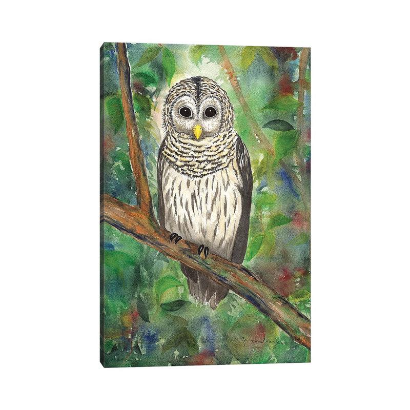 Barred Owl par Christine Reichow - reproduction imprimée, H 26 po x l 18 po x 1,5 po