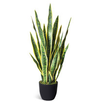 Wayfair  Snake plant Faux Plants You'll Love in 2024