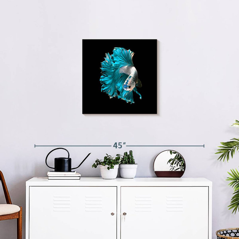 Brampt Plush Fighter Fish, 20" H x 20" W
