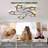 Rishikesh 29.13 '' 6-Speed Dimmable Reversible Ceiling Fan With LED Lights And Remote Control