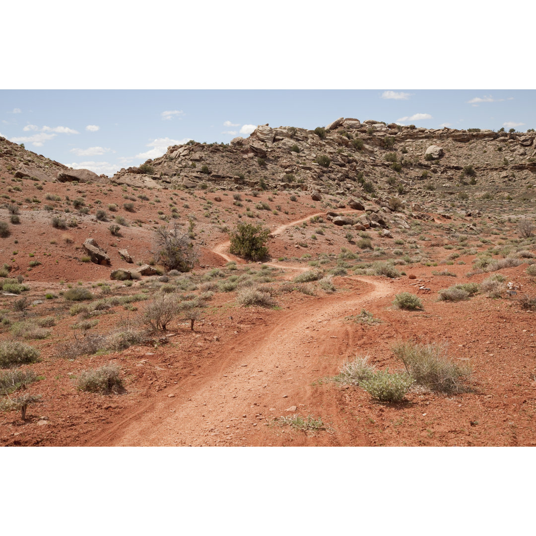 Moab Trail von Bobtphoto - Druck ohne Rahmen auf Leinwand