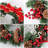 Faux Lighted 11.81'' Wreath