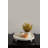 Avena Wood Tray-44409879
