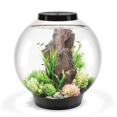 40 Gallon Freshwater Acrylic Aquarium 36X15X16