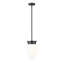 Luminaire suspendu 1 lumière Patrisio-962248145-962248147