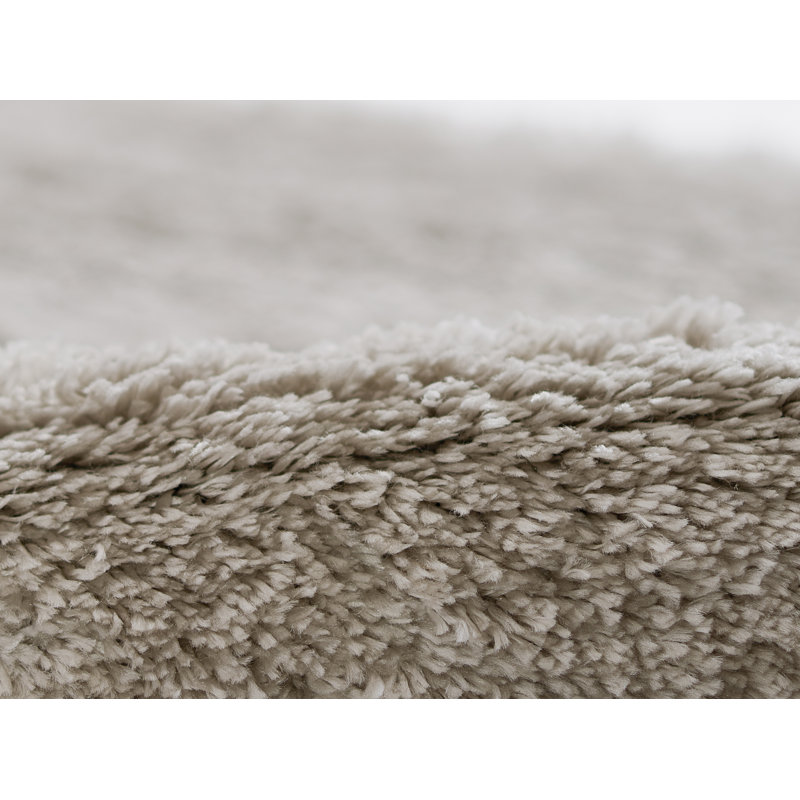 Nola Shag Indoor Rug, Rectangle 7'10 x 10'