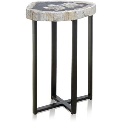 Petrified Stone End Table