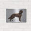 «Irish Setters» par Harro Maass-1914823148