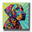 «The Star Of The Show» par Dean Russo, art mural sur toile-948353741