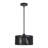 Asllan 1 Light Black Pendant