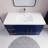 Dessens 41.9'' Single Bathroom Vanity with Acrylic Top-765251194