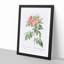 Pasture Rose in Pink by Pierre-Joseph Redoute - Picture Frame Painting Print-55578164-55578165