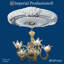 Médaillon de plafond